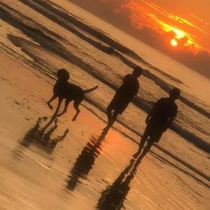 Meet your Posher, Joe